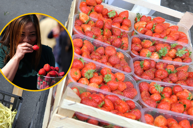 Ne pustite se zavajati: znate ločiti domače jagode od uvoženih?