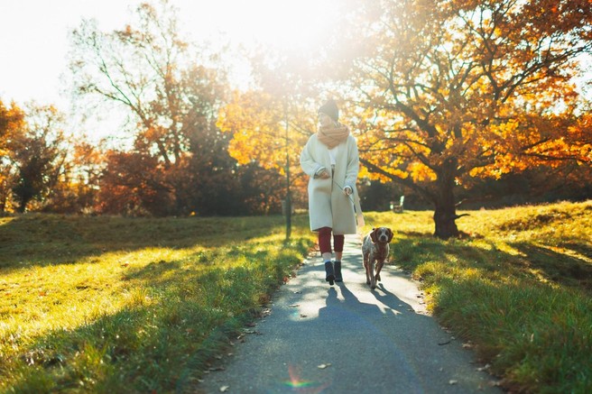 Danes je svetovni dan gibanja! Boste nabrali kaj korakov?