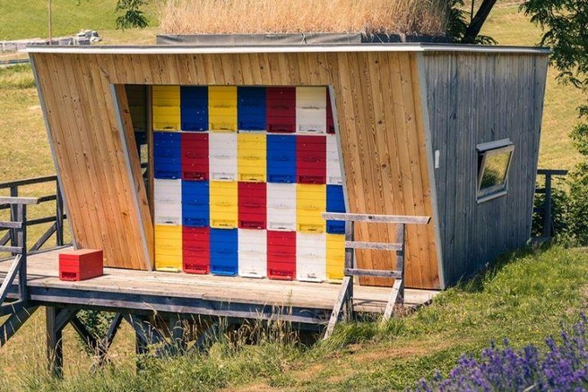 Medeni dan na Posestvu Sončni raj