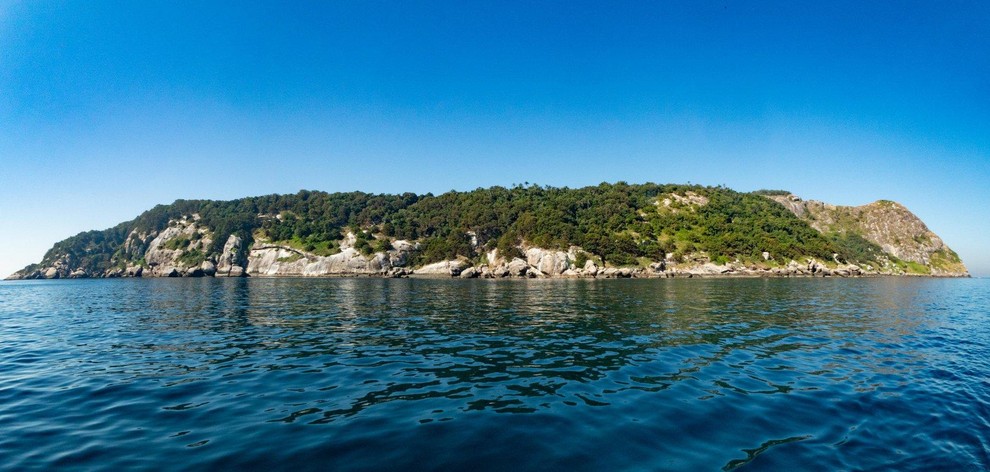 Kačji otok, Brazilija Verjetno je takoj jasno, zakaj je obisk otoka prepovedan. Tu ne živijo ljudje, temveč kraljujejo strupenjače. Na …