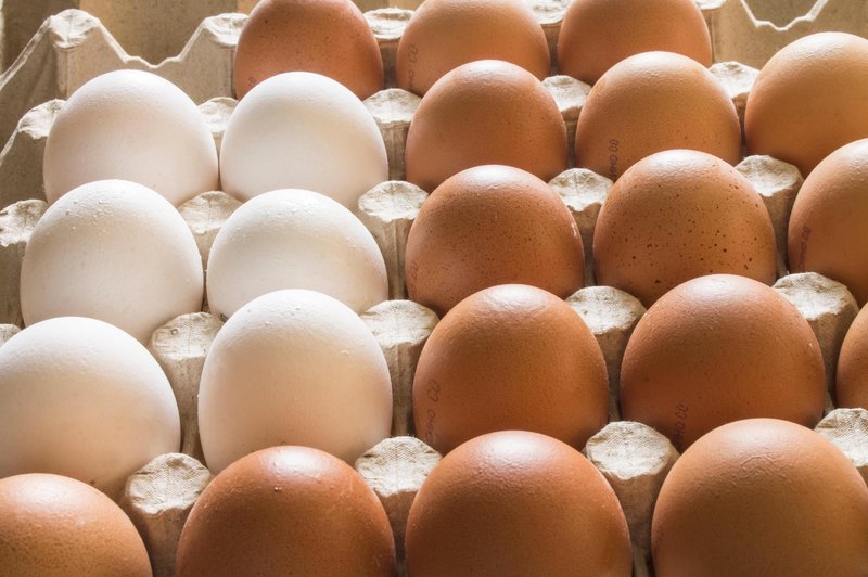 So bela jajca bolj zdrava od rjavih? (foto: Profimedia)