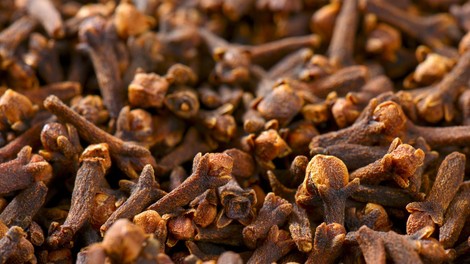 Kako s klinčki znižati krvni tlak? Odkrijte recept znanega zeliščarja, ki se prenaša iz roda v rod