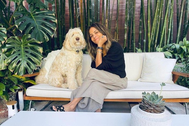 Zakaj je lisičji rep nevaren za psa?