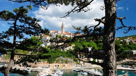 Najstarejši hrast Jadrana: našli ga boste na hrvaškem otoku, ki je priljubljena destinacija Slovencev