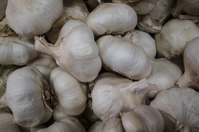 Kdaj je čas, da zavržemo česen?