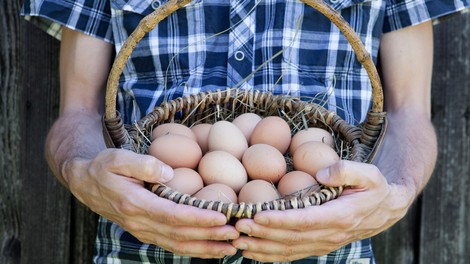 Ali je varno uživati jajca s pretečenim rokom uporabe?