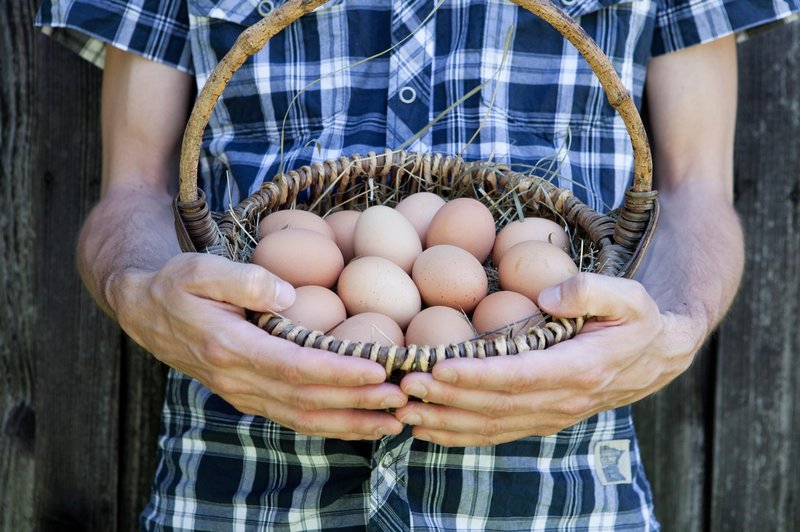 Je varno uživati jajca s pretečenim rokom? (foto: Profimedia)