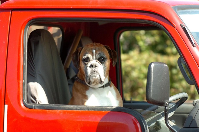 Kako se boriti z visokimi temperaturami v kabinah (parkiranih) avtomobilov: En način je izjemno uspešen...