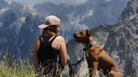 5 vrhov z najlepšim razgledom, na katere se lahko odpravite tudi s psom