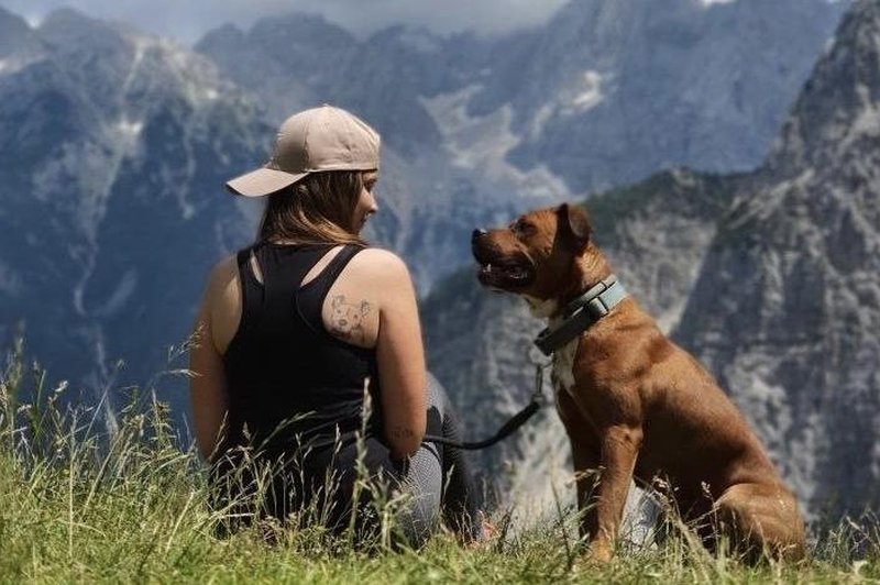 5 vrhov z najlepšim razgledom, na katere se lahko odpravite tudi s psom (foto: Mihael Markovič)
