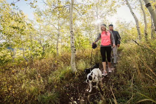Te dobre posledice hoje bi morali opaziti po enem mesecu
