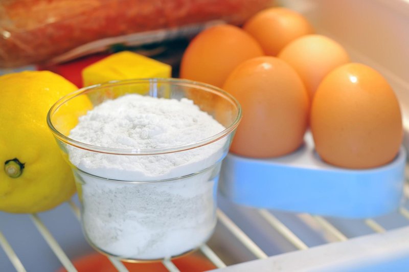 Zakaj bi morali v hladilnik vedno postaviti sol (foto: Profimedia)