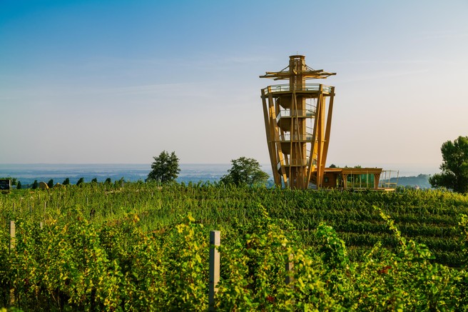 MEĐIMURJE - doŽIVETI ZELENO!