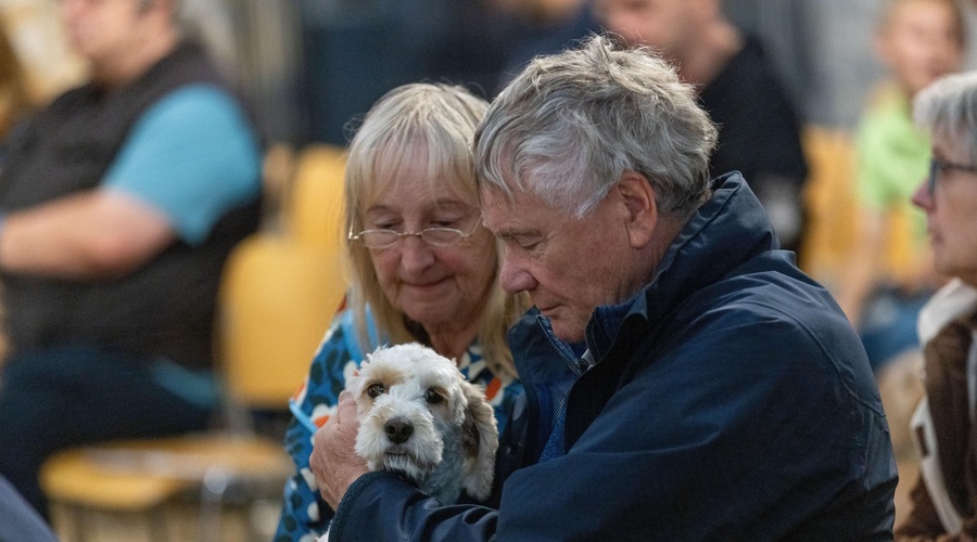 Ameriški znanstveniki so razkrili živila, ki pripomorejo k zmanjšanju tveganja za Alzheimerjevo bolezen. (foto: Profimedia)