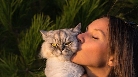 Neprecenljivo: 5 modrosti, ki se jih lahko naučite od mačk