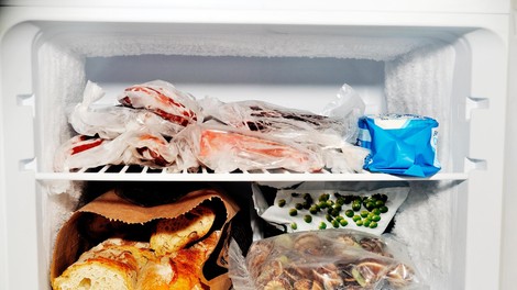Katerih živil nikoli ne bi smeli hraniti v zamrzovalniku?