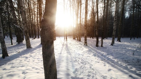6 dejstev, ki jih še niste vedeli o zimskem solsticiju