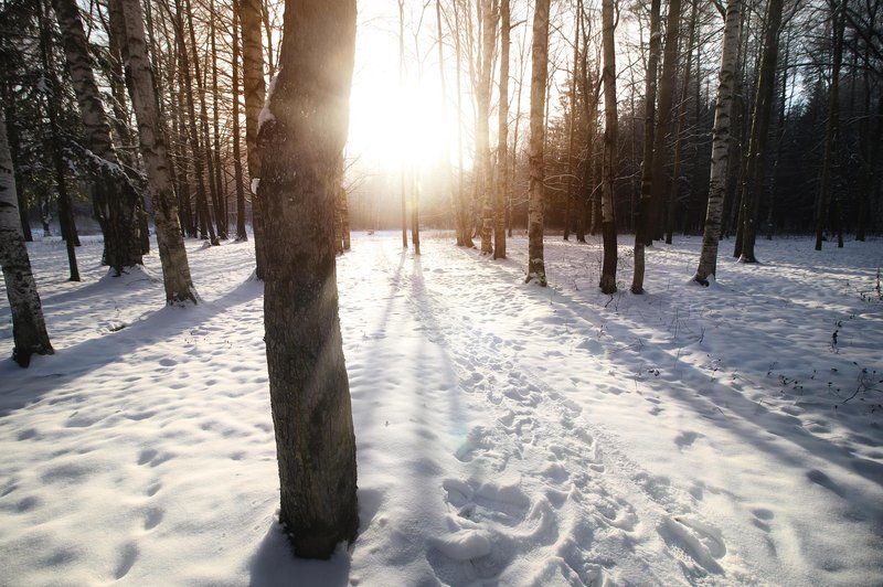 Danes praznujemo zimski solsticij - najkrajši dan v letu, ki ima pestro zgodovino in zanimiv pomen v različnih kulturah. Tukaj je 6 zanimivih dejstev o zimskem solsticiju. (foto: Profimedia)