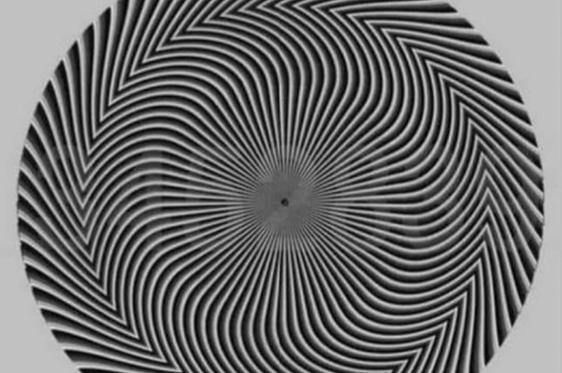 Zanimiva optična iluzija: katero število vidite na fotografiji? (foto: X @benonwine (Posnetek zaslona))