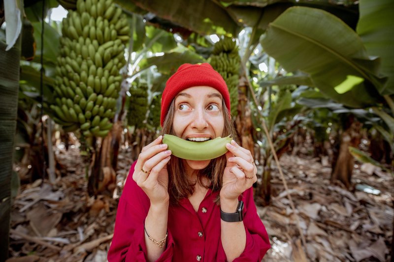 Banane so dober vir ogljikovih hidratov, ki so glavno gorivo vašega telesa za proizvodnjo energije. (foto: Profimedia)