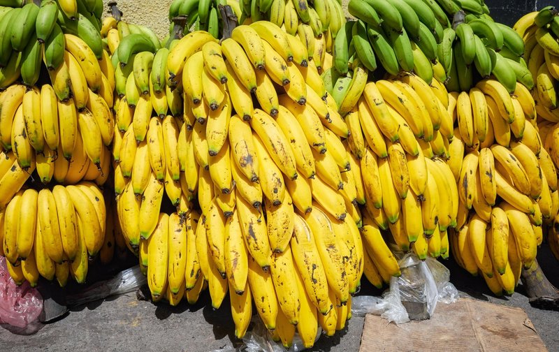 Po podatkih Statističnega urada RS je bilo v letu 2021 v Slovenijo uvoženih 114.659 ton banan – od tega več kot polovica iz Ekvadorja, ki proizvede kar 29 odstotkov svetovnega sadja.