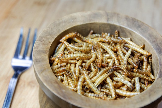 Insekti v posodi kot hrana