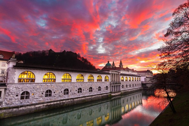 Ljubljana ljubljanska tržnica
