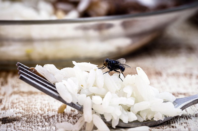 Znebite se muh, mravelj in komarjev: potrebujete le to poceni in preprosto sestavino (foto: Profimedia)
