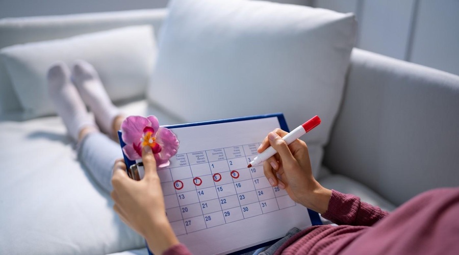 Kako se izračuna menstrualni cikel in določi plodne dni (foto: Profimedia)