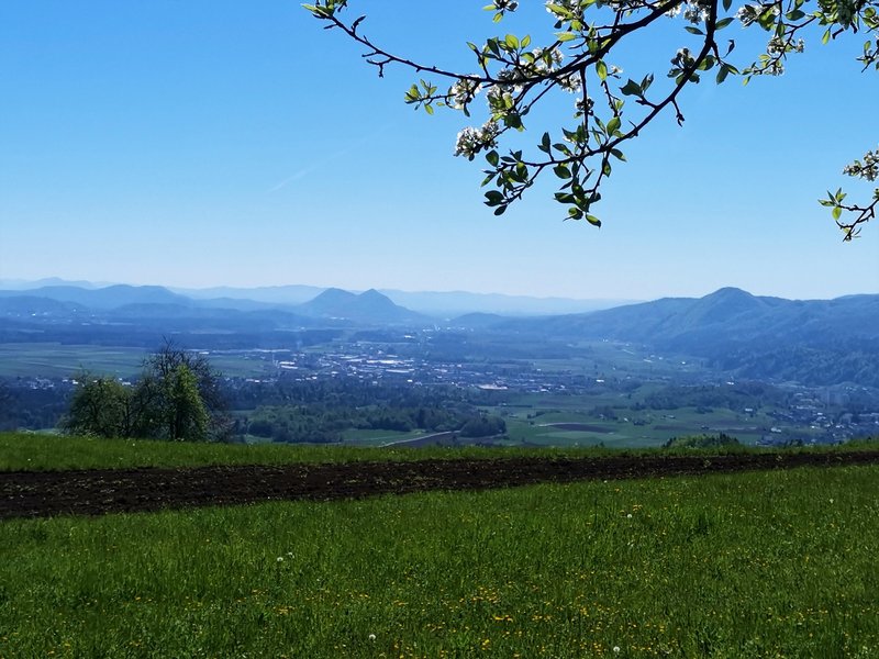 Z vrha se ponuja lep razgled na okoliške hribe, kot sta Lubnik in smučišče Stari vrh, Ljubljansko kotlino ter Karavanke.