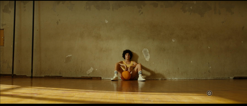 Prihaja film o košarkarskem velikanu, pri katerem sodelujejo tudi Slovenci (VIDEO)