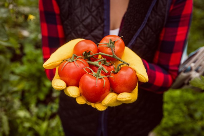 Bolje se ji je izogibati: to je zelenjava, ki ima največ pesticidov (foto: Profimedia)