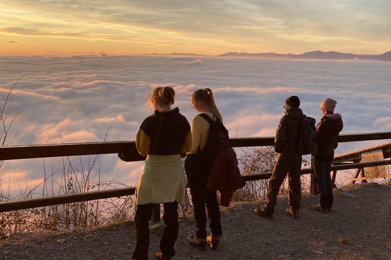 Ko sončna svetloba vstopi v oči, zasvetijo celotni možgani. Notranja (foto: L.T.)