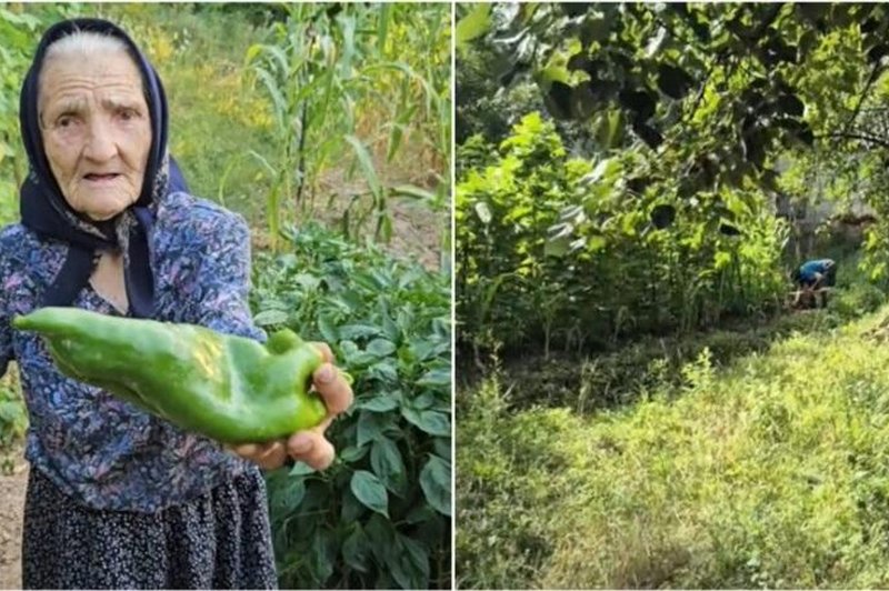 98-letnica razkriva skrivnost dolgega življenja: "Vsako jutro naredim to" (foto: TikTok / Indijanadžouns)