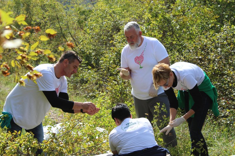 V objem gozda: po zdravje in ekipni duh (foto: promocijska fotografija)