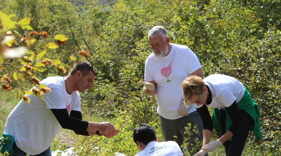 V objem gozda: po zdravje in ekipni duh (foto: promocijska fotografija)