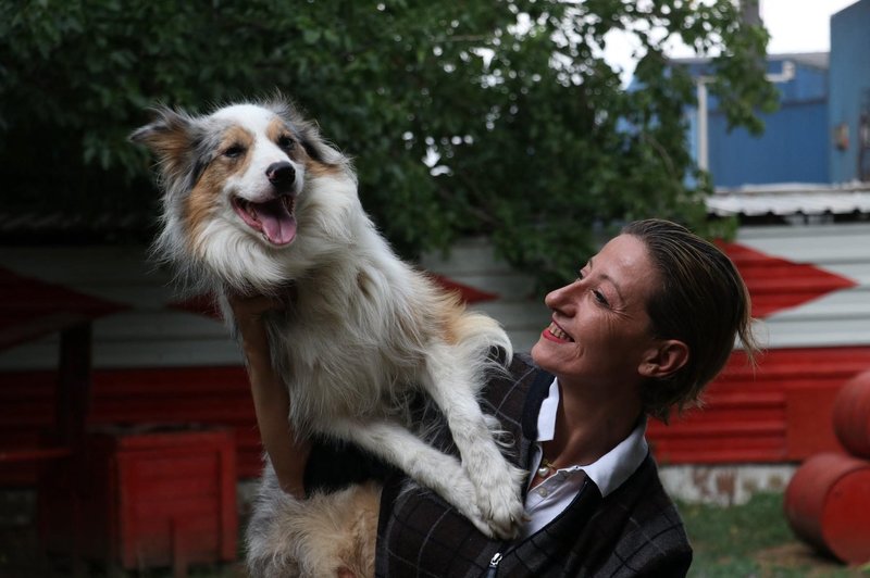 Border collie je splošno priznan kot najbolj inteligenten pes na svetu. Znan je po svoji delovni sposobnosti, vzdržljivosti in neverjetni hitrosti učenja. (foto: Profimedia)