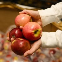 Ali veste koliko pesticidov se nahaja na enem samem jabolku? Preverite s tem preprostim trikom