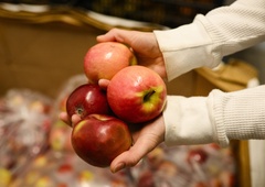 Ali veste koliko pesticidov se nahaja na enem samem jabolku? Preverite s tem preprostim trikom