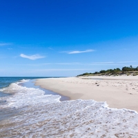 Drama na priljubljenih plažah: živali množično poginjajo, obolelih več kot 100 ljudi!