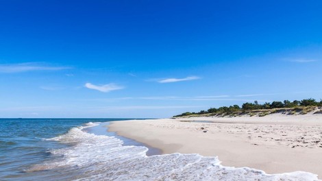 morska pena bolezen plaža Avstralija