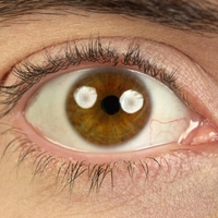 Znanstveniki prišli do izjemne ugotovitve: z enostavnim pregledom vaših oči lahko ocenijo vašo biološko starost