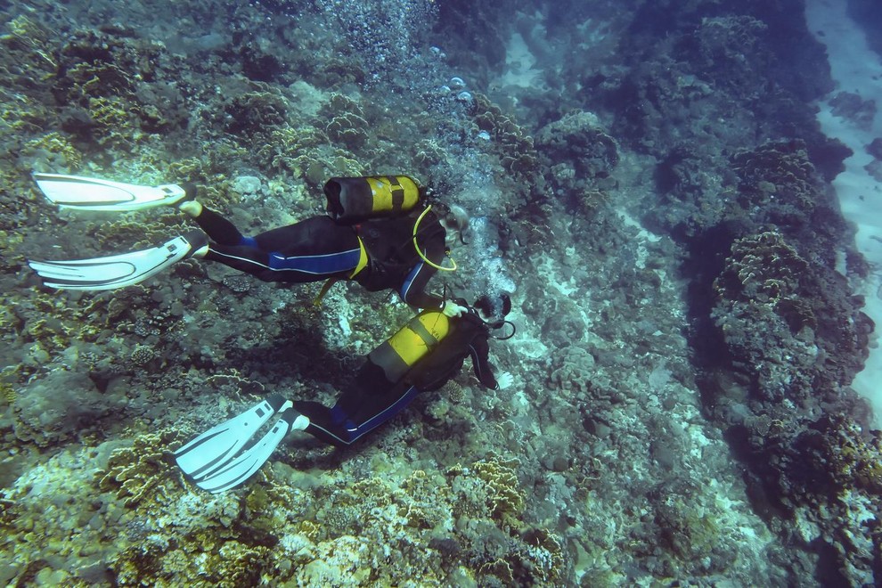 velika plamenka potapljač smrt brazilija morje tragedija