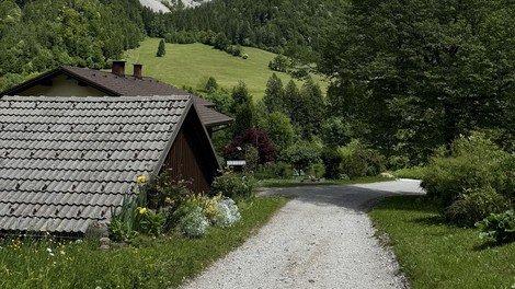 Ideja za izlet: pol ure stran od Ljubljane vas čaka sanjska destinacija za ljubitelje narave, zgodovine in kulinarike