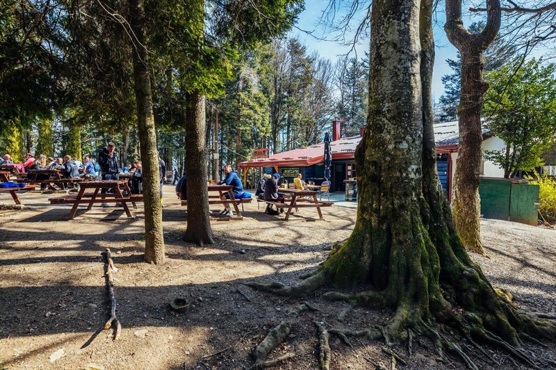 5 razlogov, zakaj bi Medvednica morala biti vaša naslednja počitniška destinacija