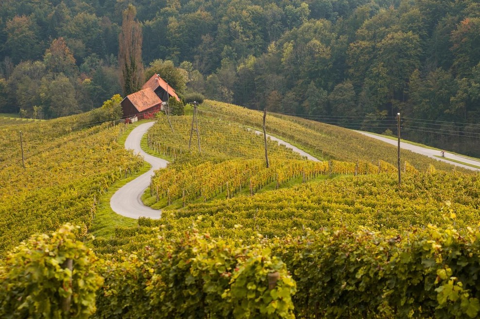 Turistka povsem presenečena ob obiskom Slovenije: "Ena stvar mi nikakor ni jasna … " (foto: Profimedia)