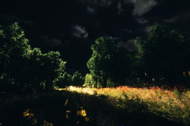 črna kronika gozd skrivnost izginotje fotoaparat srhljivo grozljivo panama dekleti