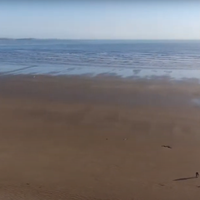 Turiste na priljubljeni plaži v jutranjih urah pričakal pretresljiv prizor: nekateri kričali, drugim šlo na bruhanje