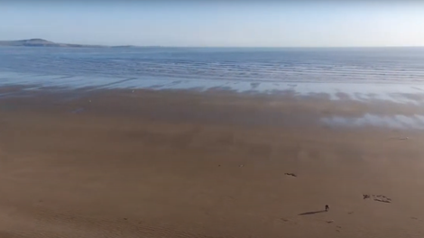 Cefn Sidan plaža morje kit živali truplo