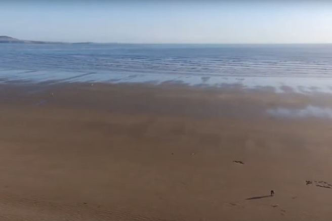 Cefn Sidan plaža morje kit živali truplo